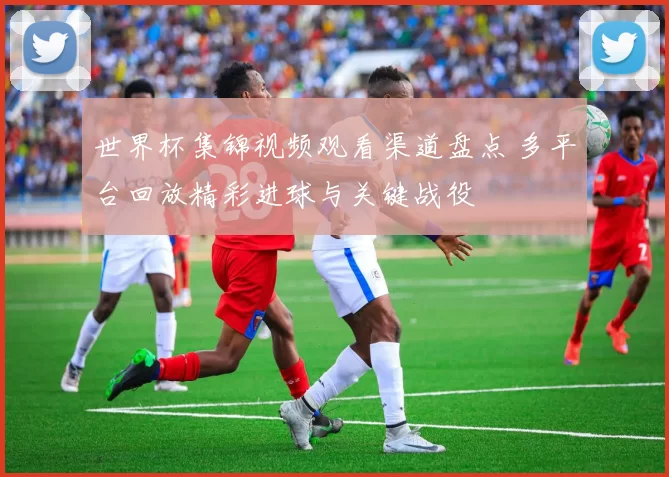 世界杯集锦视频观看渠道盘点 多平台回放精彩进球与关键战役