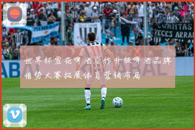 世界杯雪花啤酒合作升级啤酒品牌借势大赛拓展体育营销布局