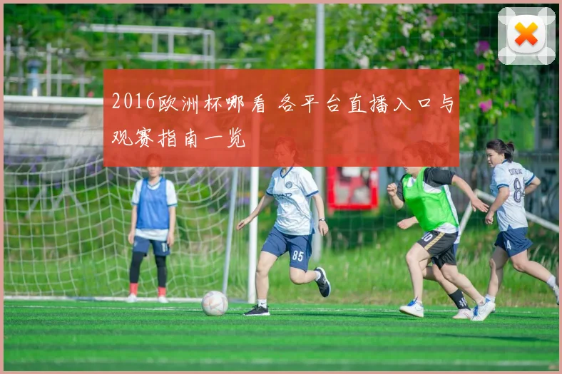 2016欧洲杯哪看 各平台直播入口与观赛指南一览