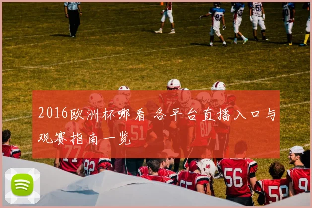2016欧洲杯哪看 各平台直播入口与观赛指南一览